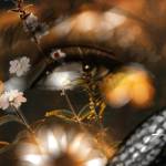 Luisa Francisca Maria Visuara Profile Picture
