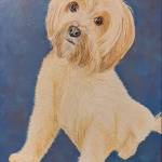 Gino Mucciarone Mucciarone Profile Picture