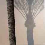 Pino Venditti Profile Picture