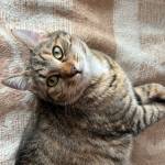 Nadia Di Palma Profile Picture