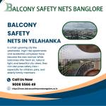 Venky safetynets Profile Picture