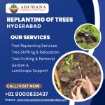 Archana Tree cutting Profile Picture